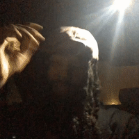 karma freestyle 