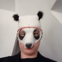 Trailer zu Panda in da House 