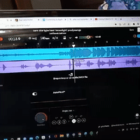 The one snippet 