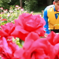 The Way You Smell