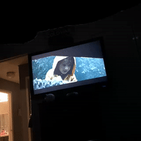 One shot  (00:31:43)