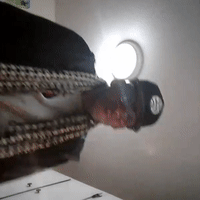 videoNYdea_02-54
