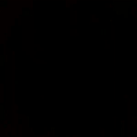 one night has police told  to  me why you are a drugs dillar