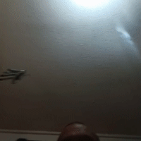video-Call Of Satan (21:14)