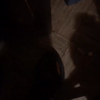 WATCH THIS[UNFINISHED]