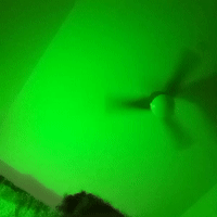 toxic