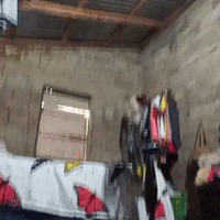 El reslo hasa