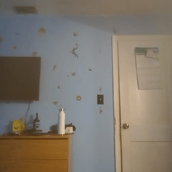 first video first video 