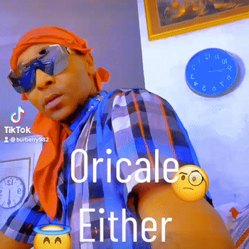 bitch 