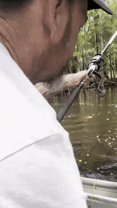 BIG FISHING 