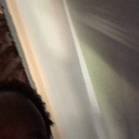 Rich MF (13:52:55)