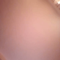 للقحاب