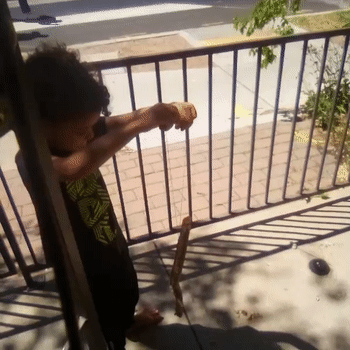 look at son 