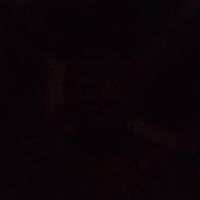 video-Leaked (15:28)