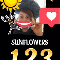 Sunflower 123