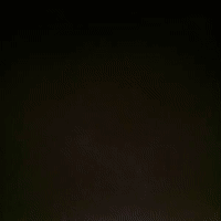 people really 