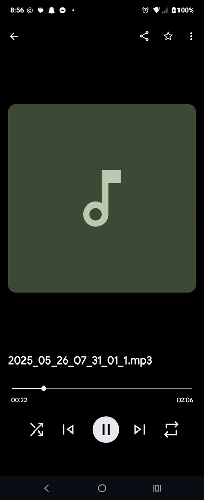1000003101