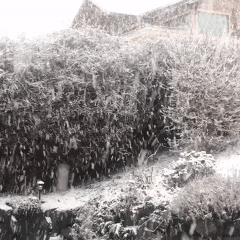 snow ❄️ storm 