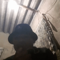 freestyle 