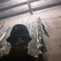 freestyle 