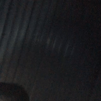 niggas