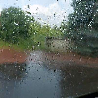 jebac kamila, kurwe i cwela