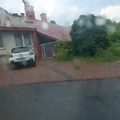 jebac bialozyda