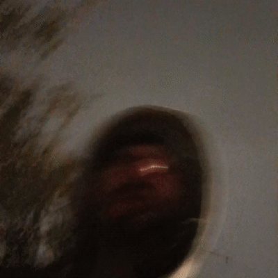   #Dankydank 