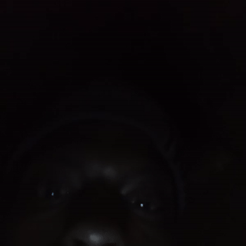 Back on one Freestyle