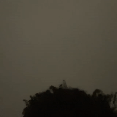 Goodbye (15:00:14)