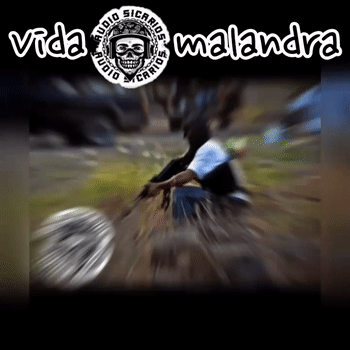 vida malandra