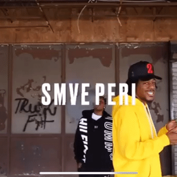 8th video snippet 