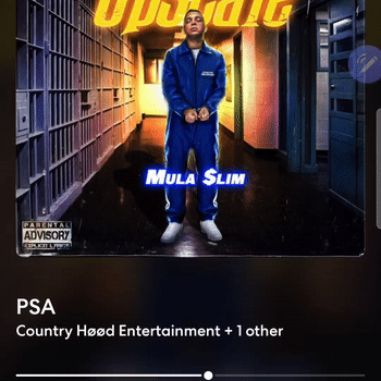 PSA~Mula$lim (Prod. CøunţryHøød)