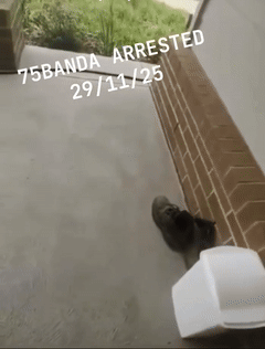75banda ARREST 