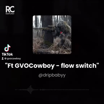 Flow Switch Ft Dripbabyy 