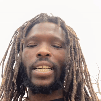 trippn freestyle 