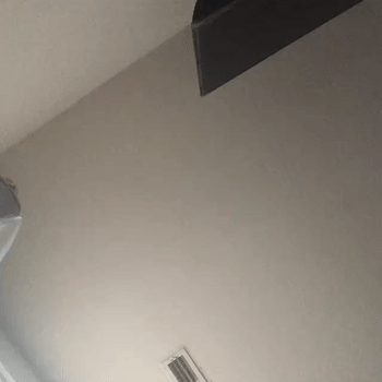 oy