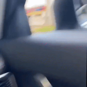 FB_VID_4113951966294975915