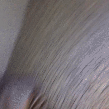 victor