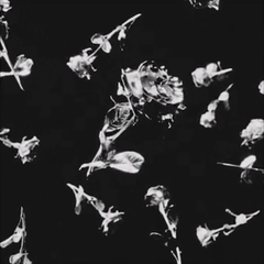 BKesH _ Zincir (Video Klip)