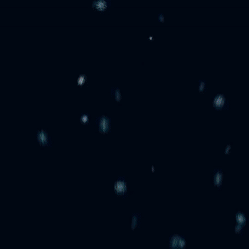 VID-20230124-WA0004