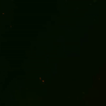 RAPS DE TERROR MUY PRONTO 😱
