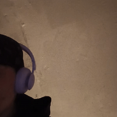  freestyle