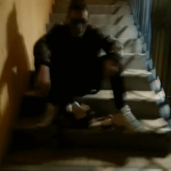 clip vidéo chienne d'vie fait avec les moyens du bord 