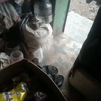 गैस