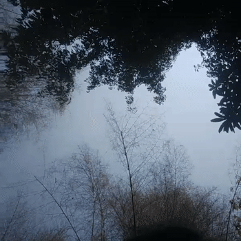 video-VOXE (13:28)