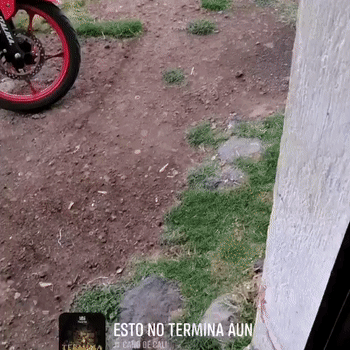   vida y salud