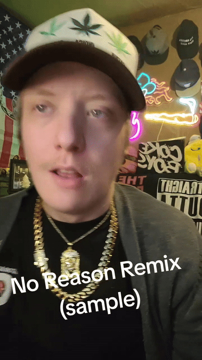 "No Reason" Remix (sample)