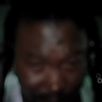 enjoy  