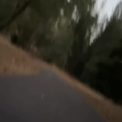 TheLondonFreak